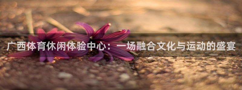 米兰体育官方正版app娱乐是那个系列的台子:广西体育休闲体验